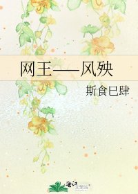 《網王——風殃》