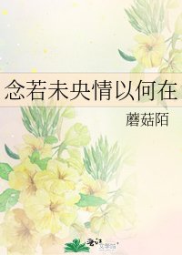《念若未央情以何在》