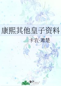《康熙其他皇子資料》
