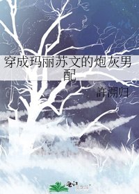 《穿成瑪麗蘇文的炮灰男配》