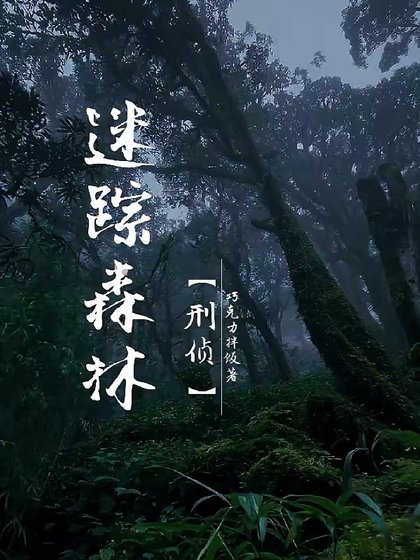 《迷蹤森林【刑偵】》