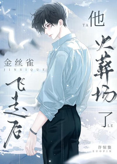 《金絲雀飛走後他火葬場了》
