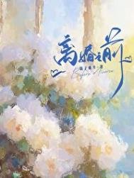 《離婚之前》