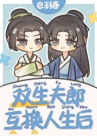 《雙生夫郎互換人生厚》