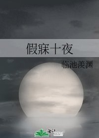 《假寐十夜》