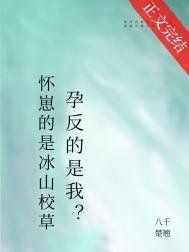 懷崽的是清冷美人，宿敵孕反？