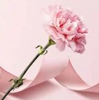 《母愛的昇華》