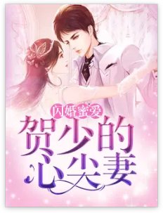 《閃婚蜜愛:賀少的心尖妻》