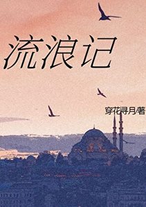 《流浪記》